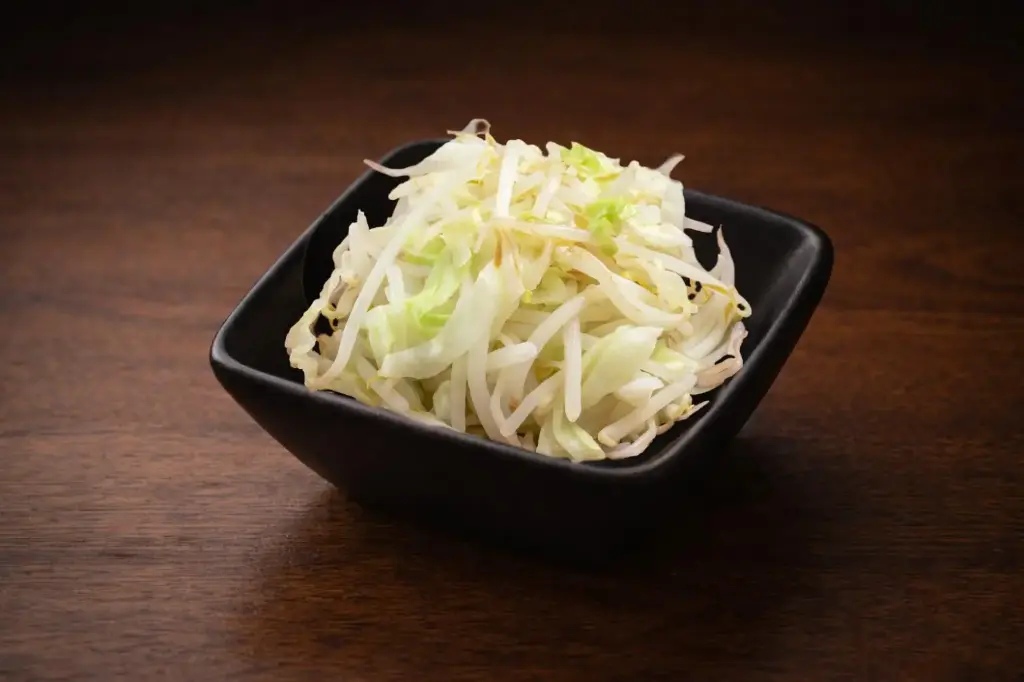 Cabbage & Bean Sprouts